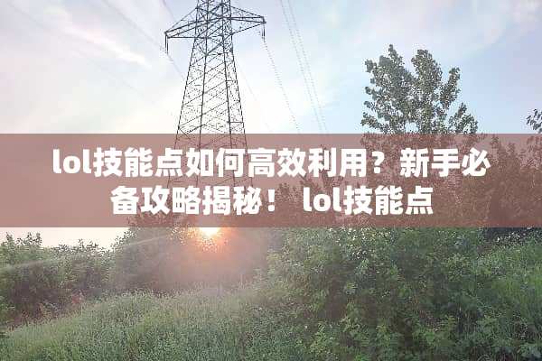 lol技能点如何高效利用？新手必备攻略揭秘！ lol技能点