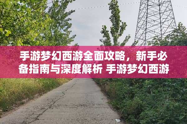 手游梦幻西游全面攻略，新手必备指南与深度解析 手游梦幻西游攻略