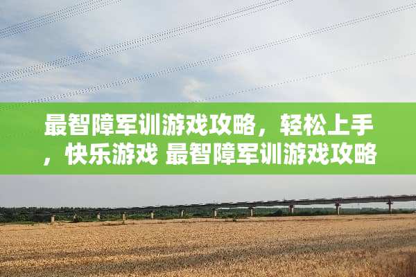 最智障军训游戏攻略，轻松上手，快乐游戏 最智障军训游戏攻略