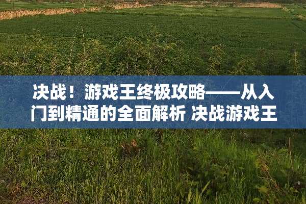 决战！游戏王终极攻略——从入门到精通的全面解析 决战游戏王攻略
