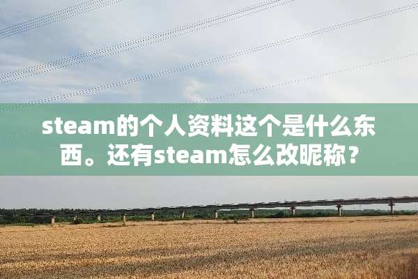 steam的个人资料这个是什么东西。还有steam怎么改昵称？