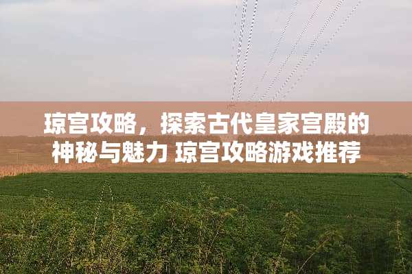 琼宫攻略，探索古代皇家宫殿的神秘与魅力 琼宫攻略游戏推荐