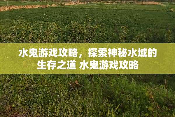 水鬼游戏攻略，探索神秘水域的生存之道 水鬼游戏攻略
