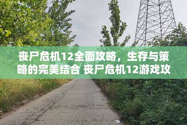 丧尸危机12全面攻略，生存与策略的完美结合 丧尸危机12游戏攻略