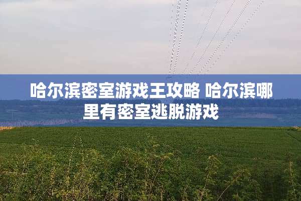 哈尔滨密室游戏王攻略 哈尔滨哪里有密室逃脱游戏