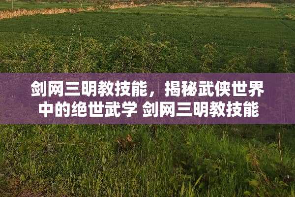 剑网三明教技能，揭秘武侠世界中的绝世武学 剑网三明教技能