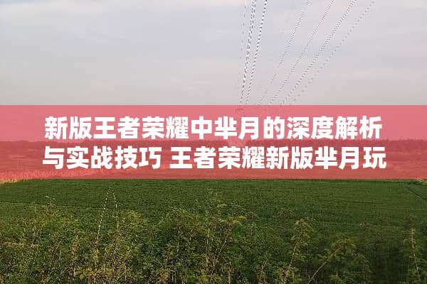 新版王者荣耀中芈月的深度解析与实战技巧 王者荣耀新版芈月玩法
