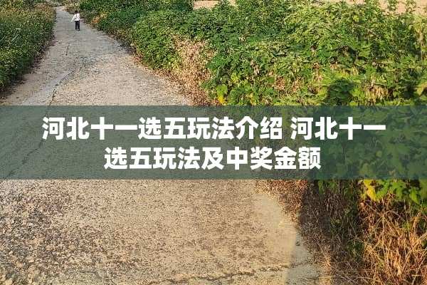 河北十一选五玩法介绍 河北十一选五玩法及中奖金额