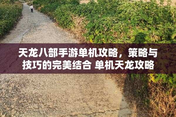 天龙八部手游单机攻略，策略与技巧的完美结合 单机天龙攻略