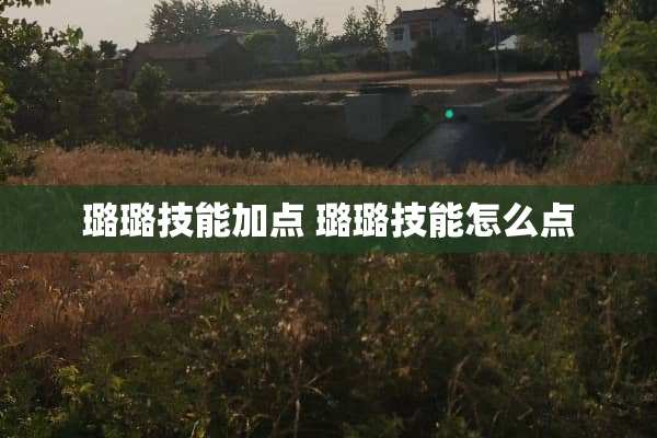 璐璐技能加点 璐璐技能怎么点