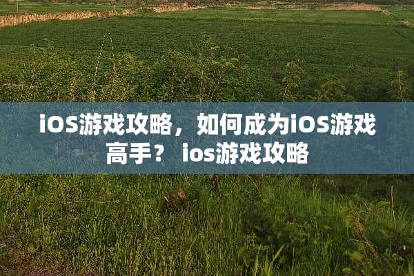 iOS游戏攻略，如何成为iOS游戏高手？ ios游戏攻略