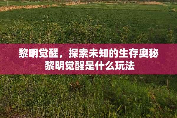 黎明觉醒，探索未知的生存奥秘 黎明觉醒是什么玩法