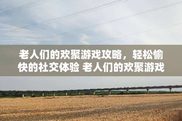 老人们的欢聚游戏攻略，轻松愉快的社交体验 老人们的欢聚游戏攻略
