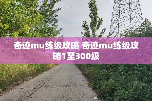 奇迹mu练级攻略 奇迹mu练级攻略1至300级