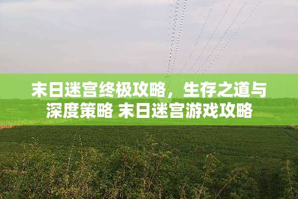 末日迷宫终极攻略，生存之道与深度策略 末日迷宫游戏攻略