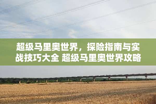 超级马里奥世界，探险指南与实战技巧大全 超级马里奥世界攻略
