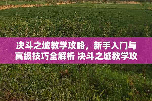 决斗之城教学攻略，新手入门与高级技巧全解析 决斗之城教学攻略