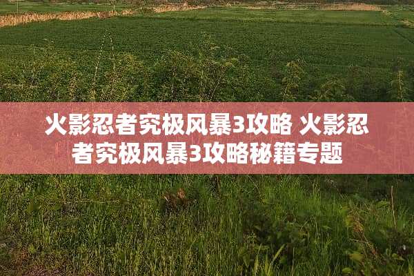 火影忍者究极风暴3攻略 火影忍者究极风暴3攻略秘籍专题