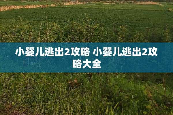 小婴儿逃出2攻略 小婴儿逃出2攻略大全