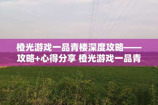 橙光游戏一品**深度攻略——攻略+心得分享 橙光游戏一品**攻略