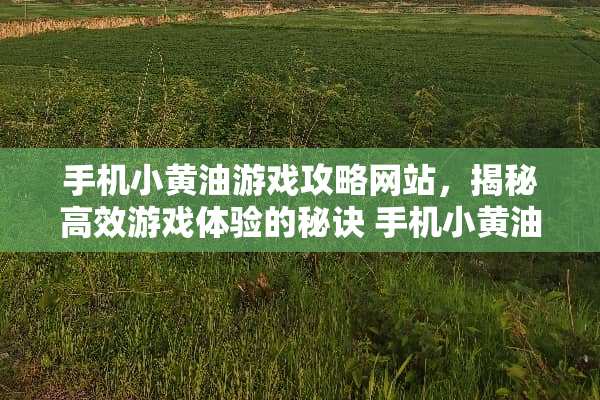 手机小黄油游戏攻略网站，揭秘高效游戏体验的秘诀 手机小黄油游戏攻略网站