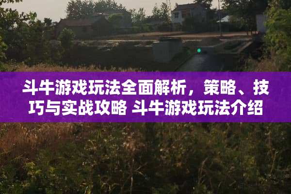 斗牛游戏玩法全面解析，策略、技巧与实战攻略 斗牛游戏玩法介绍