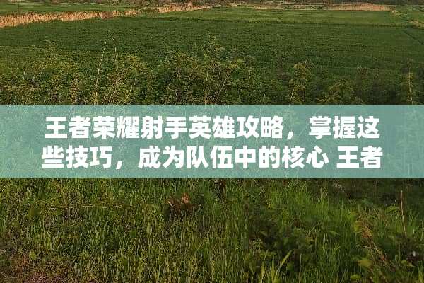 王者荣耀射手英雄攻略，掌握这些技巧，成为队伍中的核心 王者荣耀射手攻略