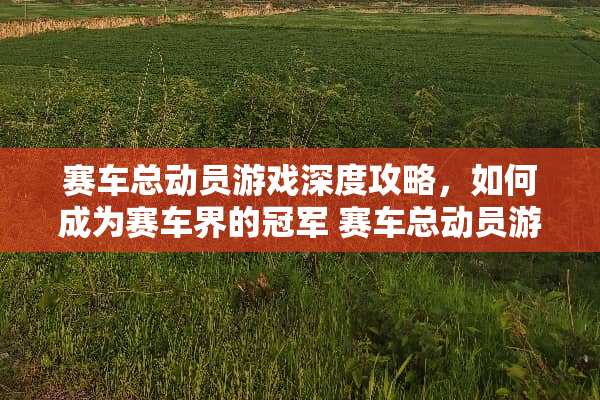 赛车总动员游戏深度攻略，如何成为赛车界的冠军 赛车总动员游戏攻略