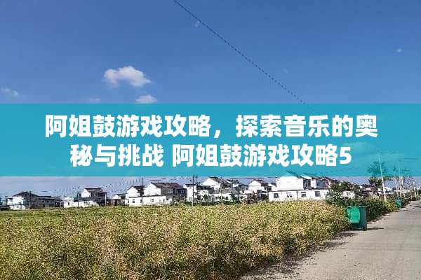 阿姐鼓游戏攻略，探索音乐的奥秘与挑战 阿姐鼓游戏攻略5