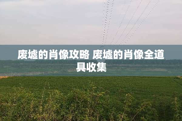 废墟的肖像攻略 废墟的肖像全道具收集