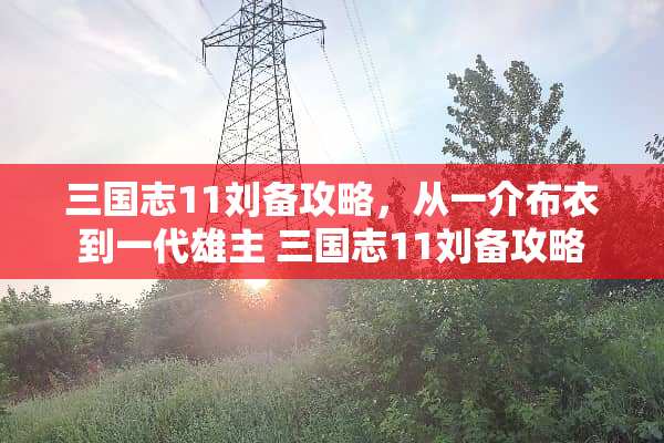 三国志11刘备攻略，从一介布衣到一代雄主 三国志11刘备攻略