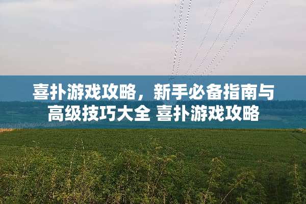 喜扑游戏攻略，新手必备指南与高级技巧大全 喜扑游戏攻略