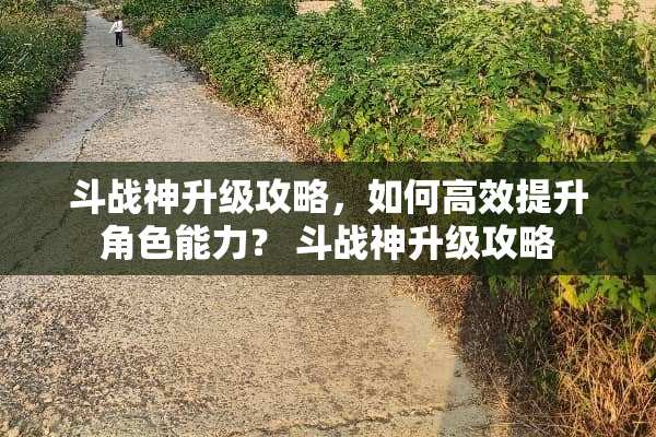 斗战神升级攻略，如何高效提升角色能力？ 斗战神升级攻略