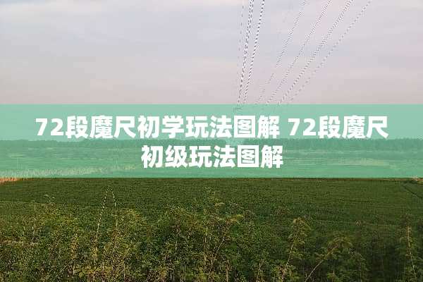 72段魔尺初学玩法图解 72段魔尺初级玩法图解