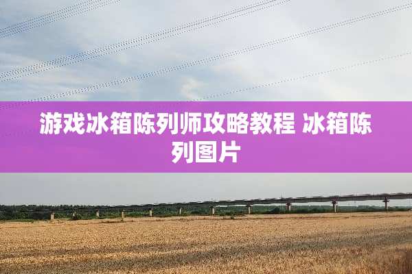 游戏冰箱陈列师攻略教程 冰箱陈列图片
