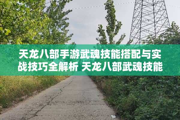 天龙八部手游武魂技能搭配与实战技巧全解析 天龙八部武魂技能