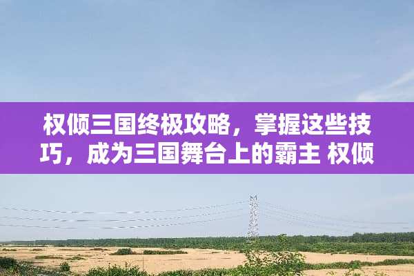 权倾三国终极攻略，掌握这些技巧，成为三国舞台上的霸主 权倾三国攻略