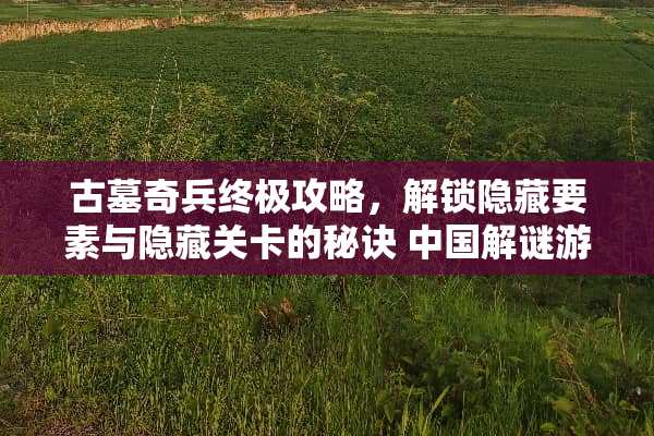 古墓奇兵终极攻略，解锁隐藏要素与隐藏关卡的秘诀 中国解谜游戏古墓攻略