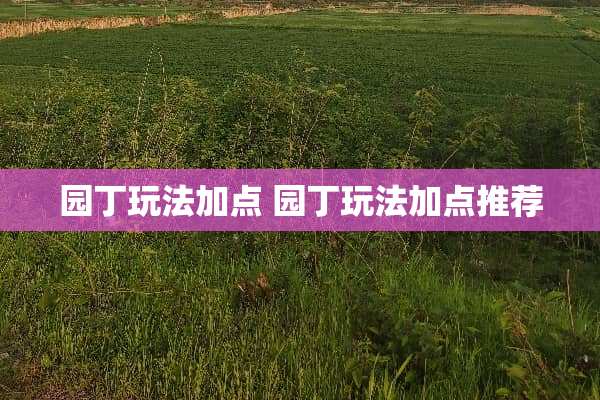 园丁玩法加点 园丁玩法加点推荐