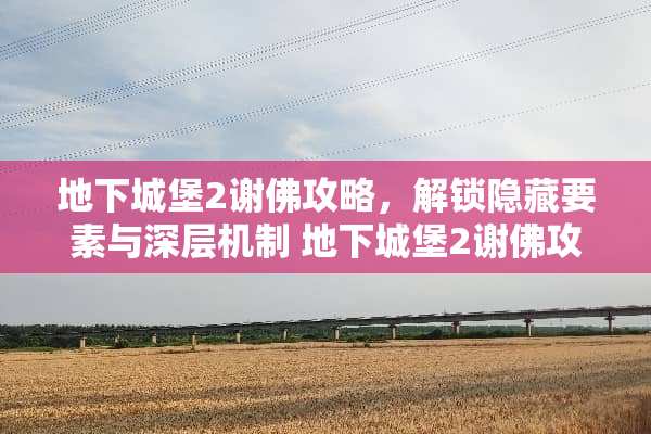 **城堡2谢佛攻略，解锁隐藏要素与深层机制**城堡2谢佛攻略