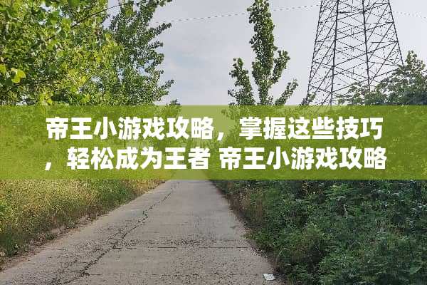 帝王小游戏攻略，掌握这些技巧，轻松成为王者 帝王小游戏攻略