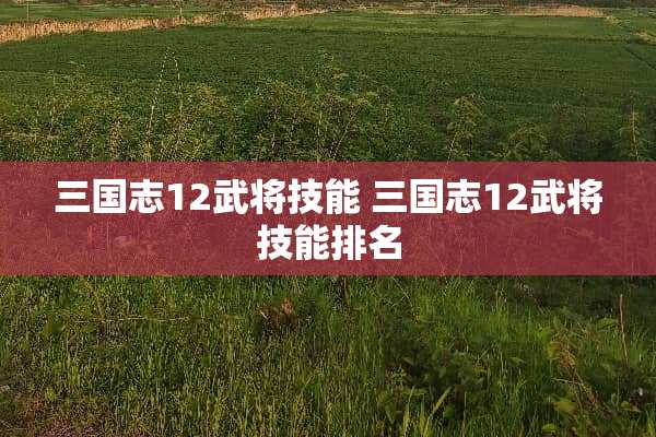 三国志12武将技能 三国志12武将技能排名