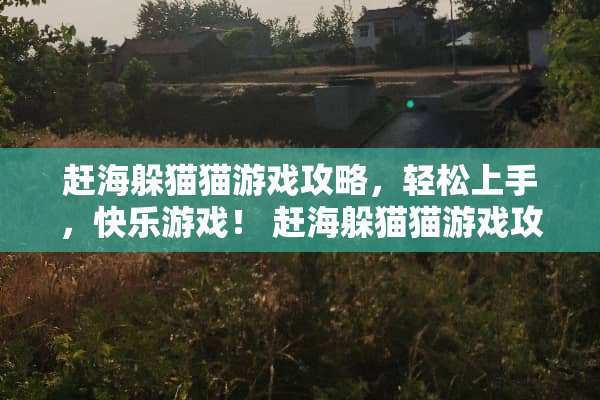 赶海***游戏攻略，轻松上手，快乐游戏！ 赶海***游戏攻略