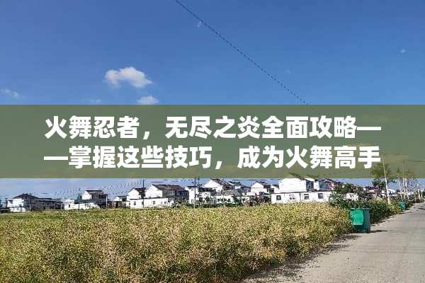 火舞忍者，无尽之炎全面攻略——掌握这些技巧，成为火舞高手！ 火舞游戏攻略
