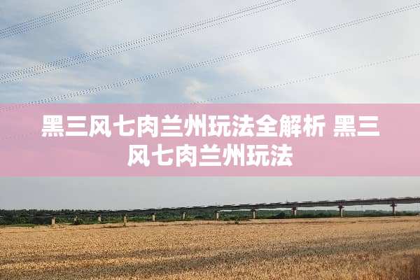 黑三风七肉兰州玩法全解析 黑三风七肉兰州玩法