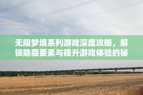 无限梦境系列游戏深度攻略，解锁隐藏要素与提升游戏体验的秘诀 无限梦境系列游戏攻略