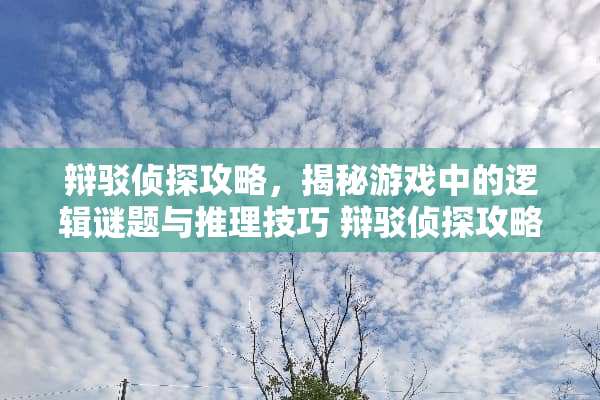 辩驳侦探攻略，揭秘游戏中的逻辑谜题与推理技巧 辩驳侦探攻略