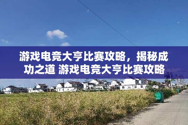 游戏电竞大亨比赛攻略，揭秘成功之道 游戏电竞大亨比赛攻略