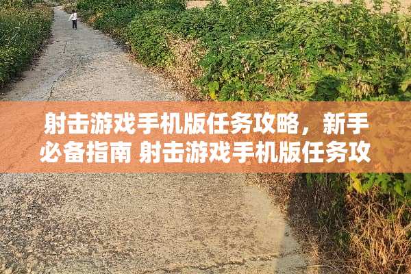 射击游戏手机版任务攻略，新手必备指南 射击游戏手机版任务攻略