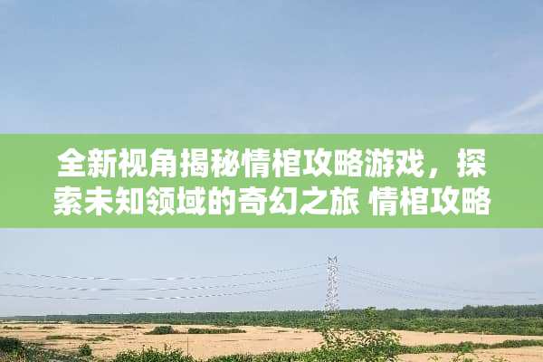 全新视角揭秘情棺攻略游戏，探索未知领域的奇幻之旅 情棺攻略游戏